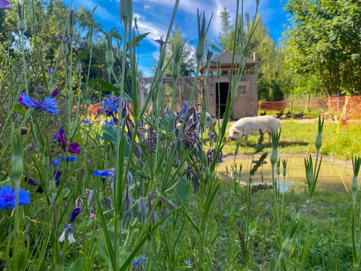 Bed & Wellness Klein Knorrestein: Romantic Tiny Houses with Private Wellness Almere Exterior photo